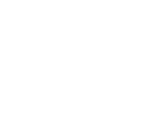 artizone